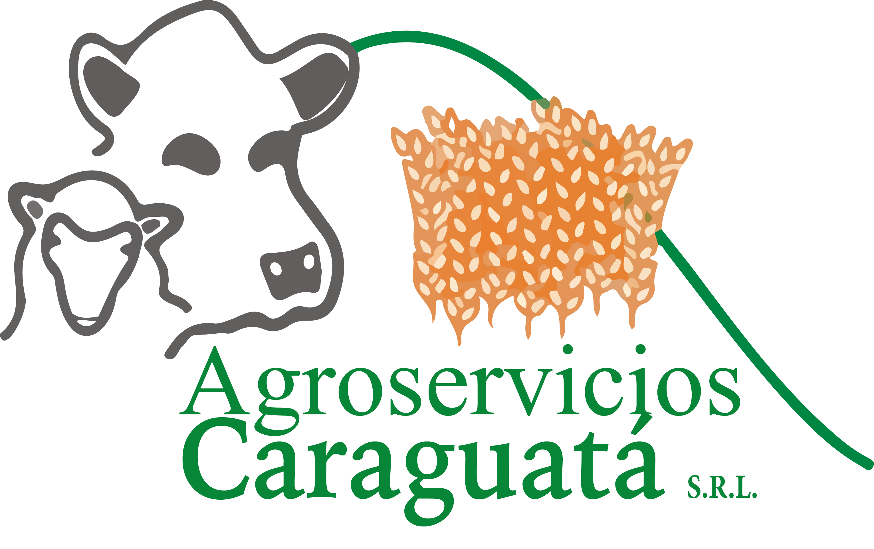 Logo :: Caraguatá S.R.L ::